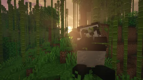 Panda Plan